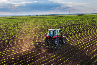 Agricoltura Marche: 40 milioni di euro per modernizzazione e sostenibilità