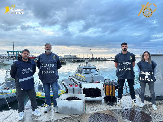 Ancona: sequestrati tremila ricci di mare pescati illegalmente, sanzioni per oltre 25 mila euro