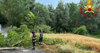 Maltempo, circa 300 interventi dei vigili del fuoco nelle Marche